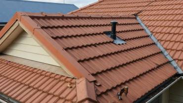 Leaky Roof Repair Auckland: Causes, Costs & What to Do