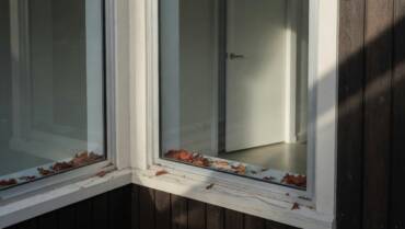 Aluminium vs uPVC vs Timber Windows NZ (Honest Guide)
